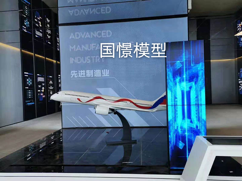 青冈县飞机模型